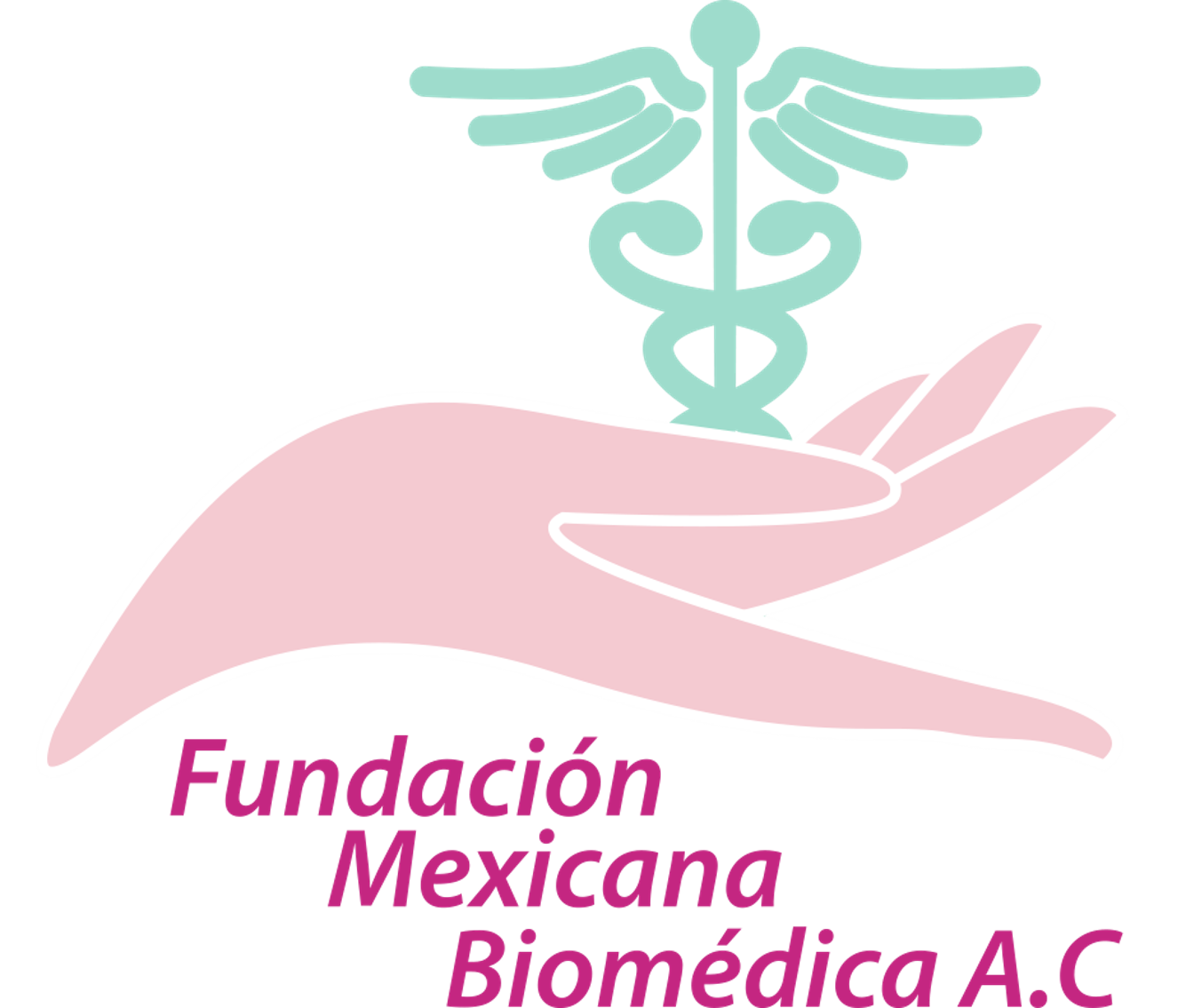 Fundación